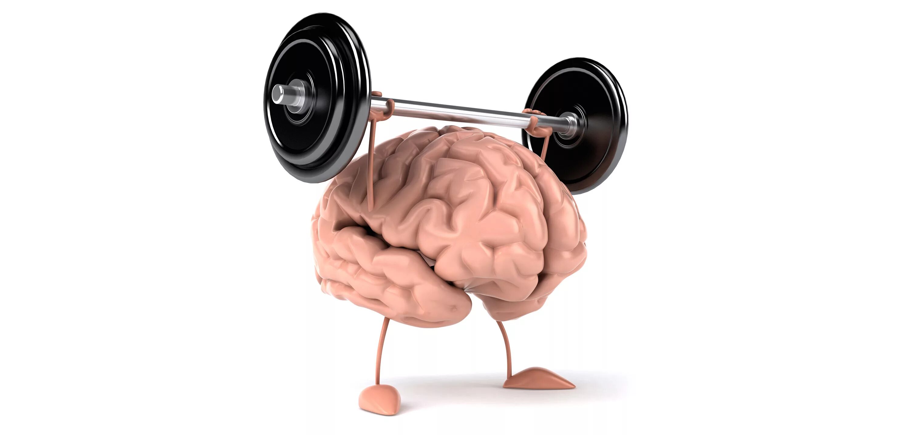 Мозг человека как улучшить работу. Мозг со штангой. Умственная и физическая нагрузка. Натренированный мозг. Тренировка мозга.