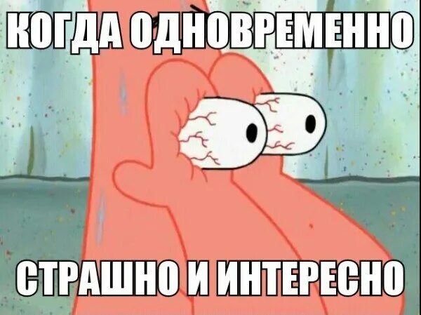 Смешно немножко страшно но очень увлекательно историческая. Страшно интересно. страшно интересно истории. кот страшно любопытно.