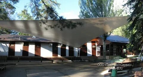 Подснежник тольятти сайт