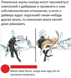 Относились с симпатией