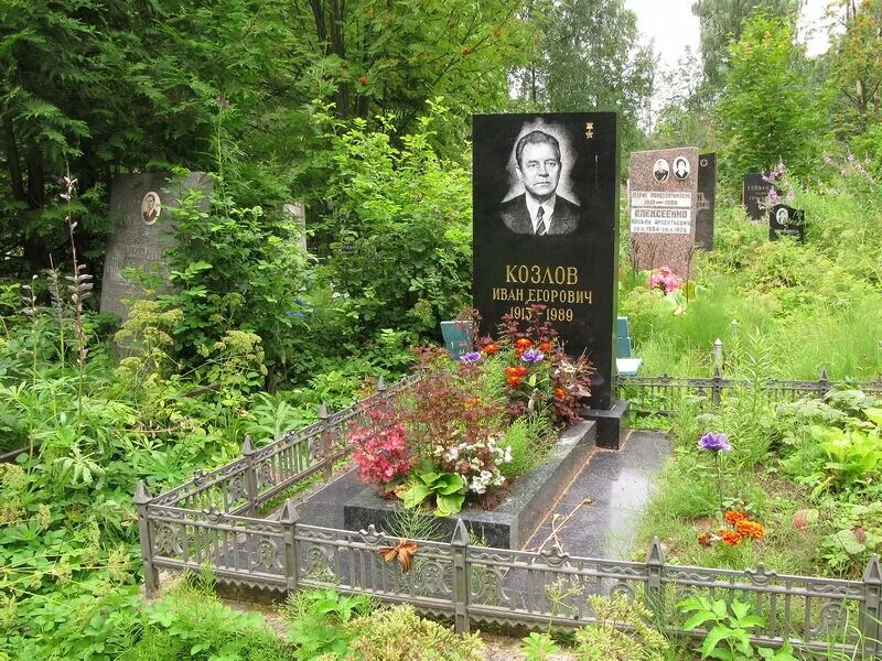 Северное кладбище парголово. Южное кладбище санкт-петербург. Северное кладбище санкт-петербург. Северное кладбище в питере. Северное кладбище парголово.