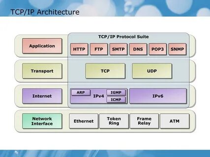 Протокол tcp transmission control protocol