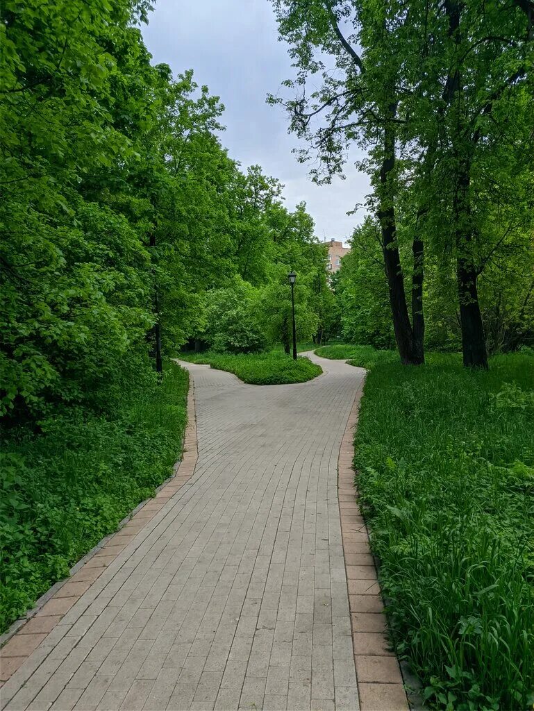 московские улицы. улица соловьиная роща, 9. парк березовая роща москва. химки район куркино. березовая роща парк москва куусинена.