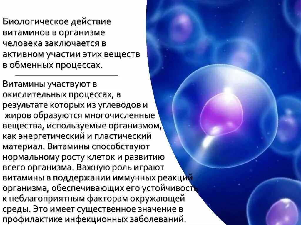 Какую биологическую роль играют витамины в организме. Биологическое действие витаминов в организме человека. биологическое действие витамина а. биологические эффекты витамина d. биологич эффекты витаминов.