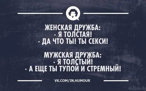 Смешные цитаты другу
