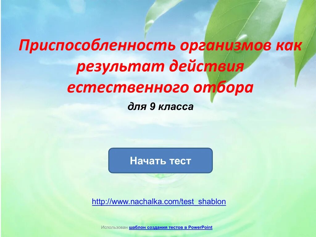 Результатом чего является приспособленность. Приспособленность как результат естественного отбора. Приспособленность организмов. Приспособленность организмов как результат естественного отбора. Адаптация как результат естественного отбора.