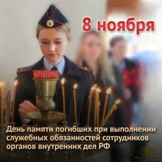 Сценарий 8 ноября день