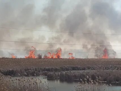 Погода новохоперск 14 дней воронежская область