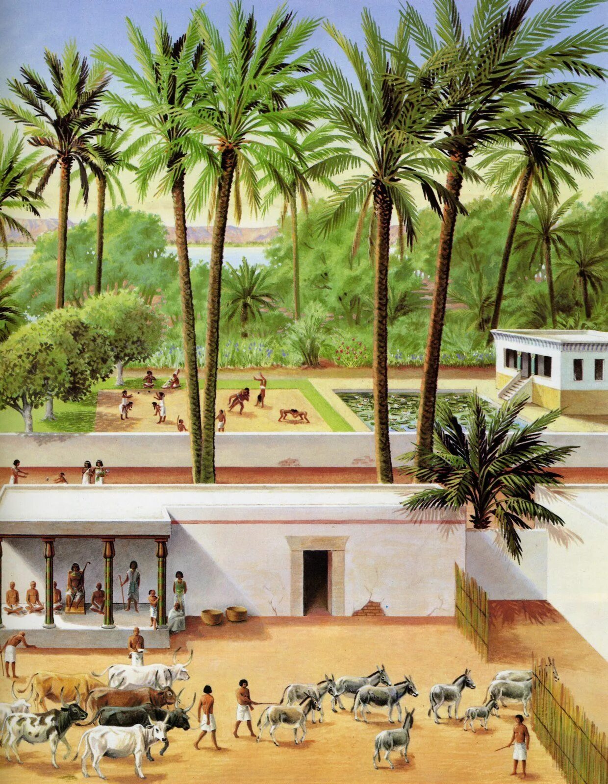 Дом знатного египтянина. Дом вельможи в древнем Египте. Жизнь египетского вельможи в древнем Египте. Сад вельможи древнего Египта. Усадьба вельможи в древнем Египте сад.