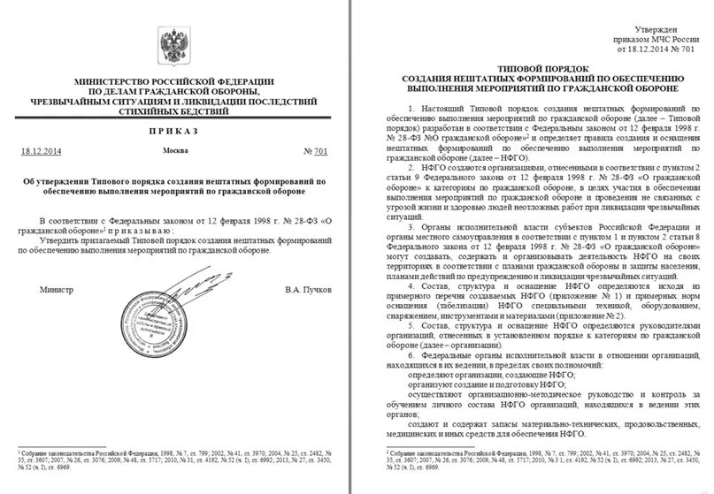 Приказ мчс рф 12.12 2007. Приказ о создании НФГО. Распоряжение МЧС. Приказ о противопожарной безопасности. Приказы в организации по НФГО.