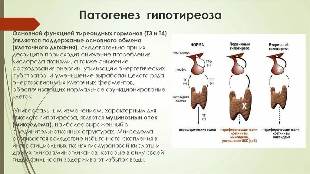 Жалоба при гипотиреозе является. Гипофункция гормонов щитовидной железы. Врожденный гипотиреоз патогенез схема. Гипофункция щитовидной железы этиология. Показатели гормонов т3 т4 при гипертиреозе.