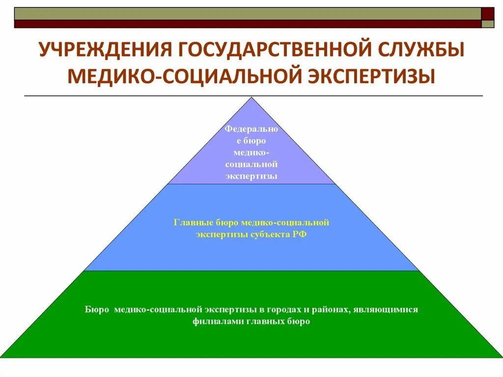 Организация деятельности федеральных учреждений медико социальной экспертизы