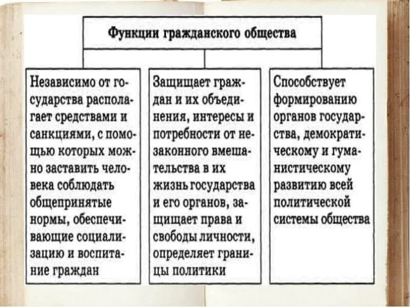 Какой пример иллюстрирует гражданское общество