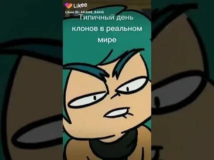 13 карт ищут работу