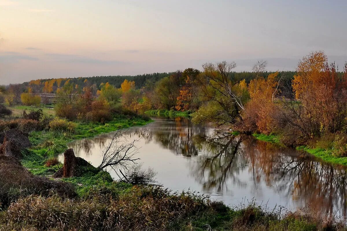 Прогноз клязьма. Река клязьма ногинск. река клязьма крутово. монино река клязьма. река клязьма в коврове.