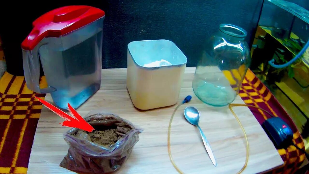 Артемия в банке. Как вырасти артемии. Рачки артемии салина. Инкубатор цист артемии. Выведение артемии.