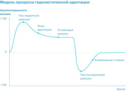 Как понять что адаптация прошла успешно