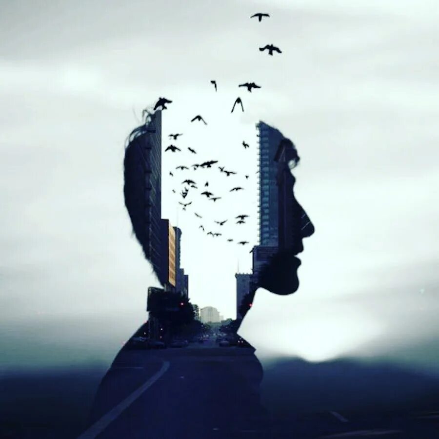 Картины со смыслом. Много мыслей. У вас есть паруса а вы вцепились в якорь конфуций. 5 умных мыслей цитаты. Стоицизм счастье.