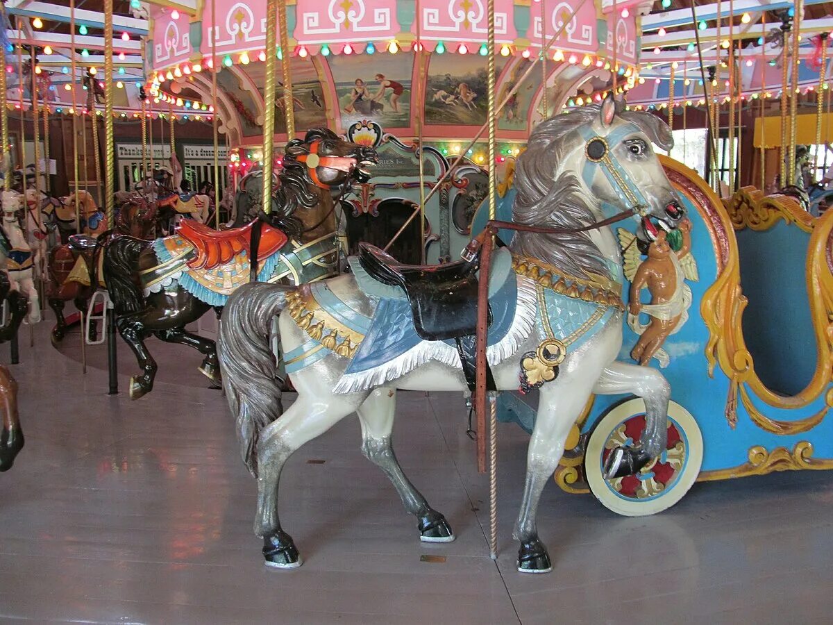 Merry go Round oпгшефк. Merry go Round штаны. Grobschnitt "Merry go Round".