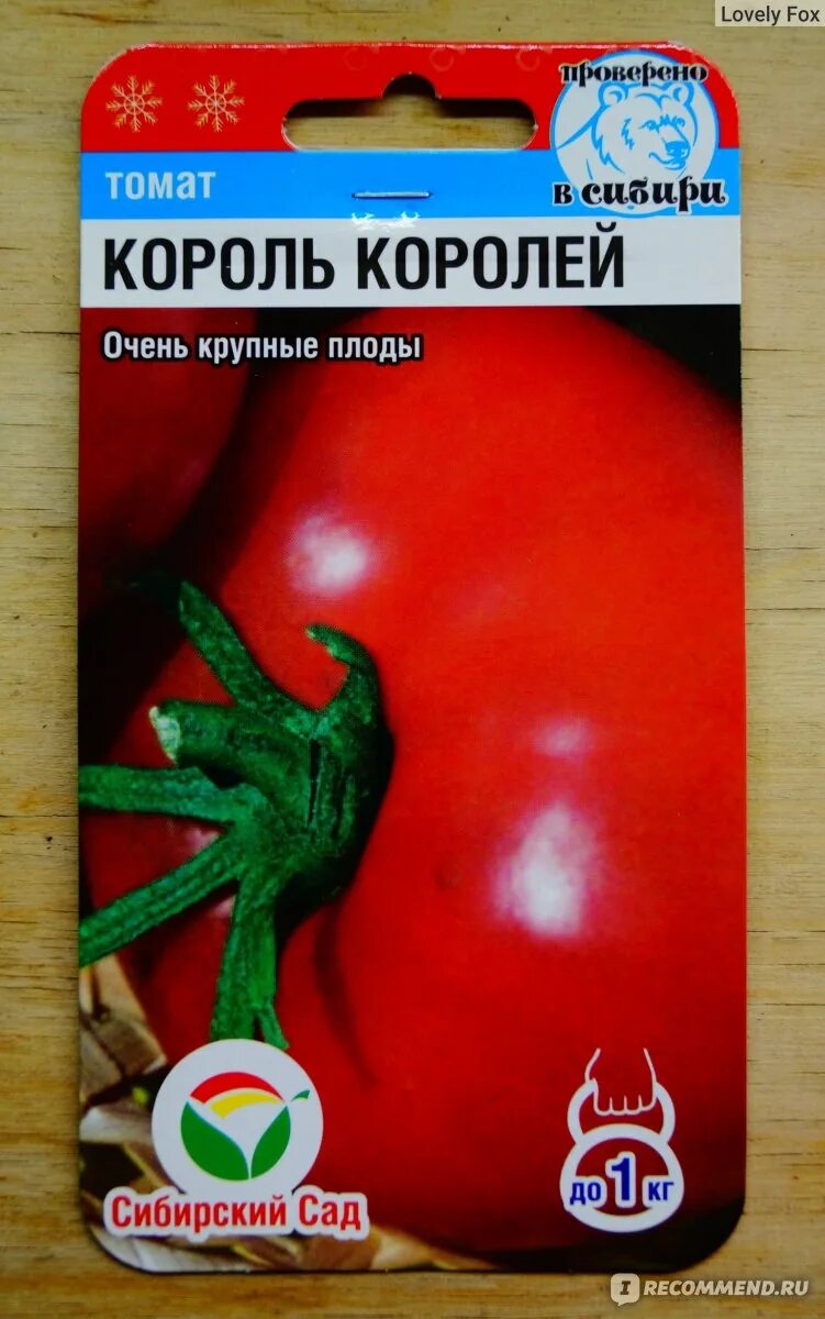 Помидоры король королей описание сорта. Семена томат Король королей. Томат Король королей. Король королей томат фото. Томат Король королей фото листьев.