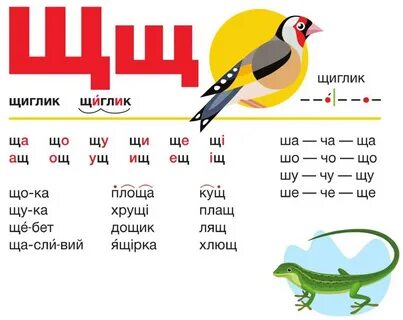 Слова последняя буква щ