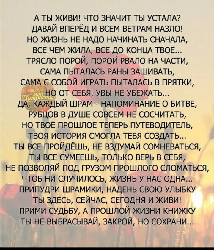 Краткое содержание всем ветрам назло