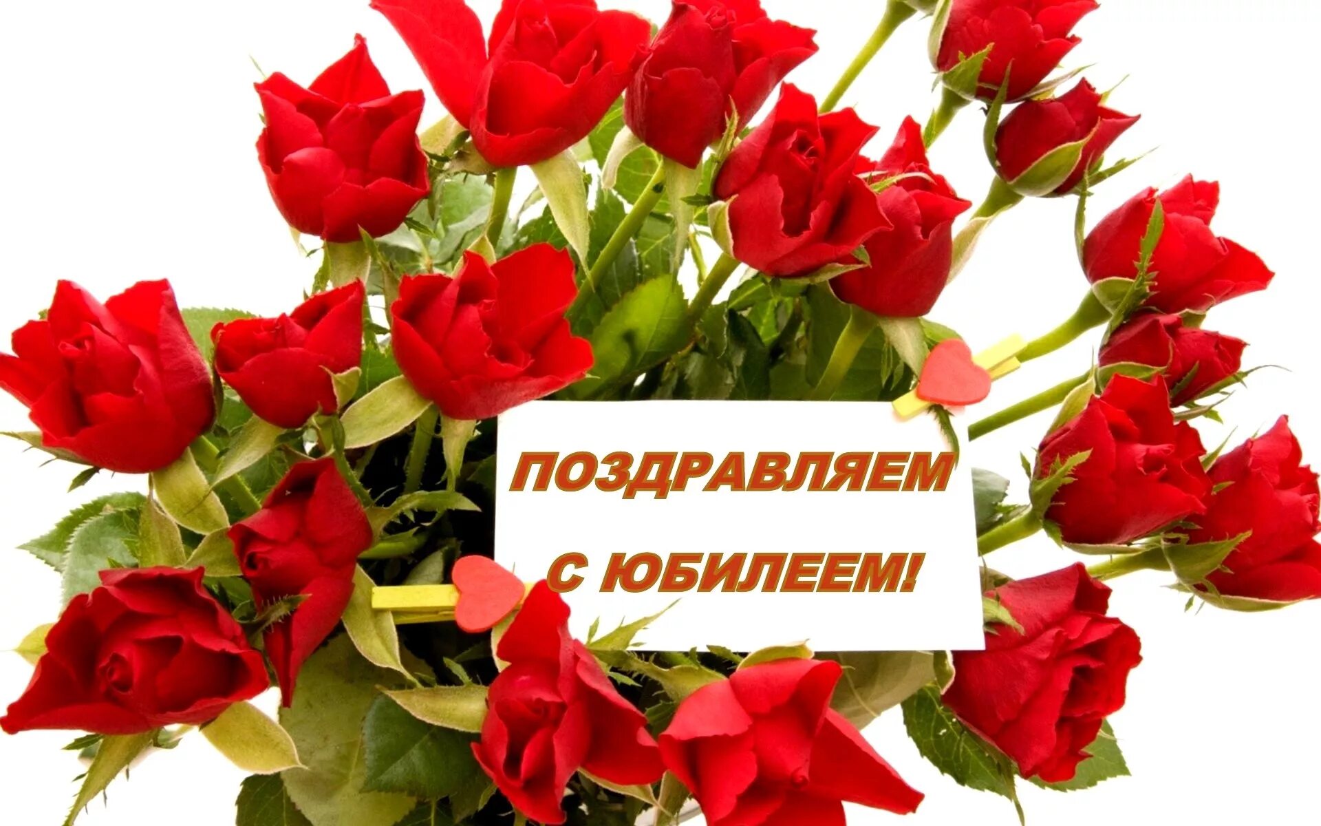 Поздравления с днём рождения женщине. Поздравление с днем рождения женщине 89. Поздравление с днем рождения женщине 89. Поздравления с днём рождения. Запоздалое поздравление с днём рождения женщине.