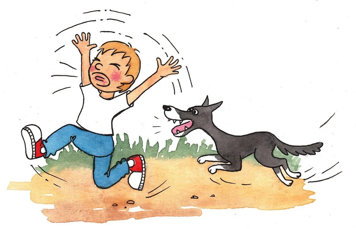 правила поведения с бездомными животными для детей. безопасность при обращении с животными. правила поведения с животными для детей. правила поведения детей с животными. правила общения с животными для детей.