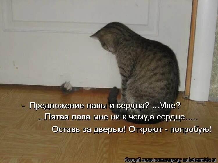 мне ни к чему стих. стихи о войне для детей. не пристало мне ни пахотою ни сеянием семян кто сказал. доволен я малым и знаю закон. радуемся новому дню.