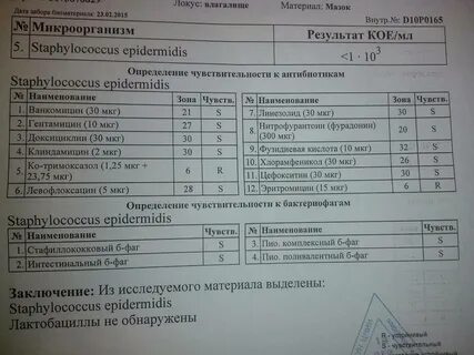 Стафилококк 3 степени