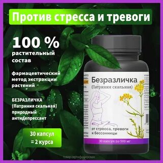 Алтайский нектар безразличка
