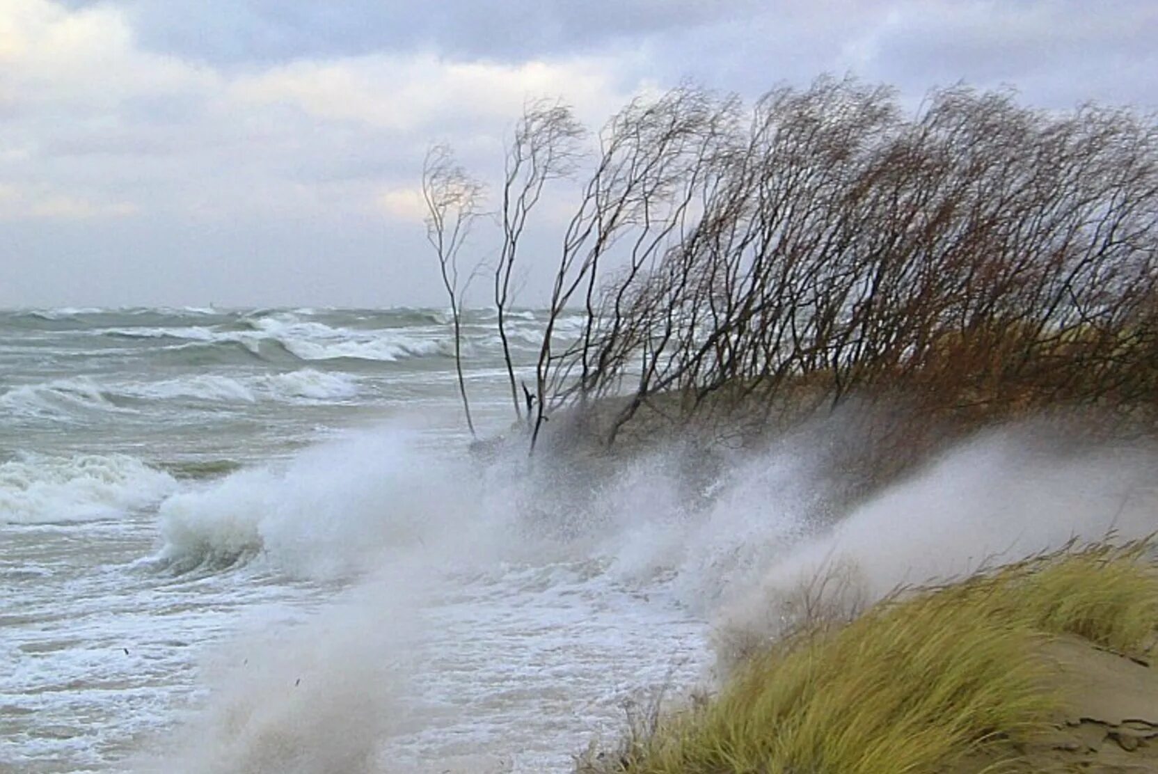 Шторм августа. Озеро Ильмень шторм. Штормовое в Краснодарском крае. Выдуло Таганрогский залив. Сильный ветер.