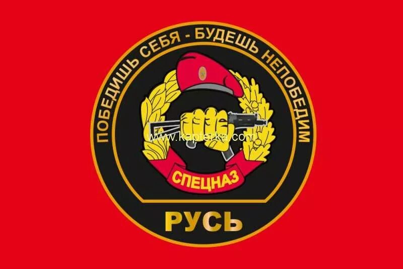 отряд вв. спецназ цсн витязь. шеврон 17 осн вв мвд рф эдельвейс. 8 осн русь вв мвд. 1 августа 1994 — сформирован отряд спецназначения вв мвд «русь».