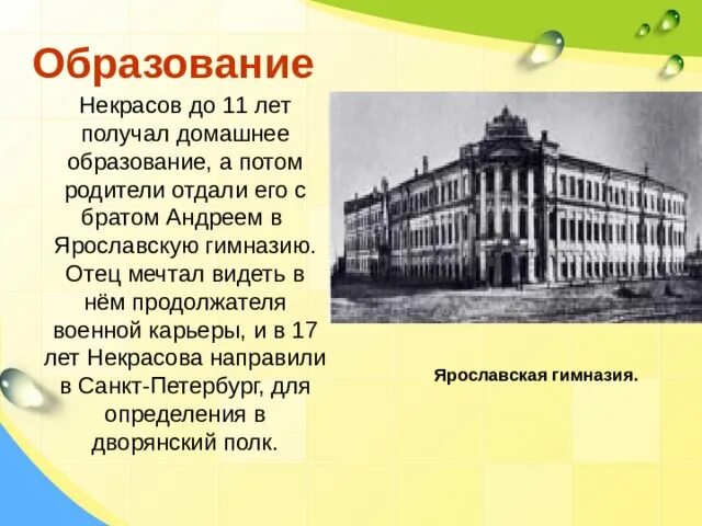 По мимо общеобразовательной школы он учился. Образование Некрасова Николая Алексеевича. Петербургский университет Некрасов.