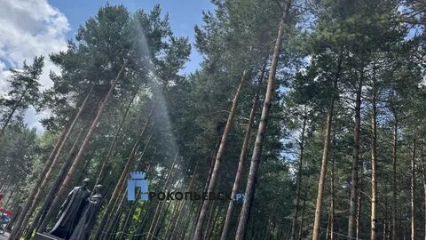 Погода на завтра прокопьевск тырган