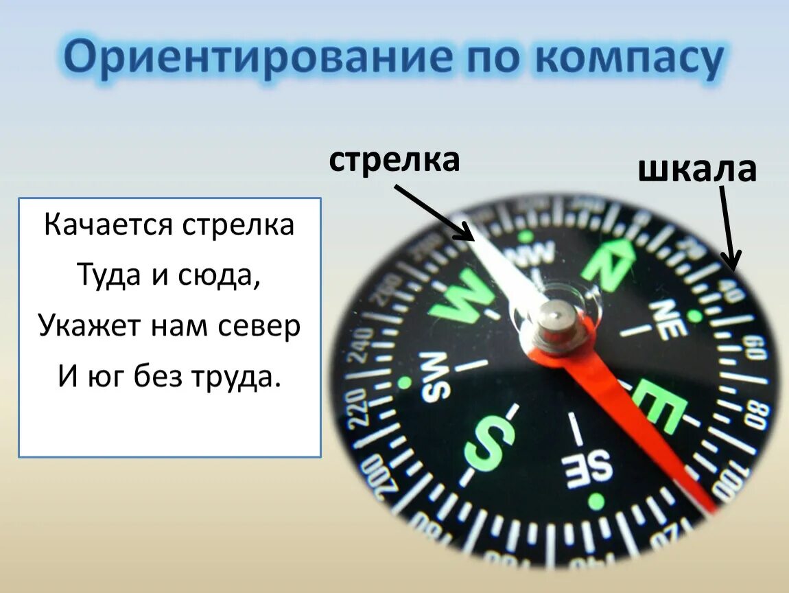 Синий конец стрелки компаса указывает. Ориентирование по компасу. Стрелочный компас. Куда показывает стрелка компаса. Ориентир по компасу.