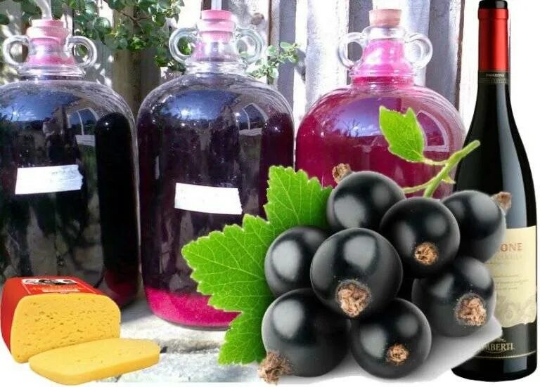 Черная смородина вино домашнее простой рецепт. Смородиновое вино. Вино черная смородина. Домашнее вино. Домашнее вино из смородины.