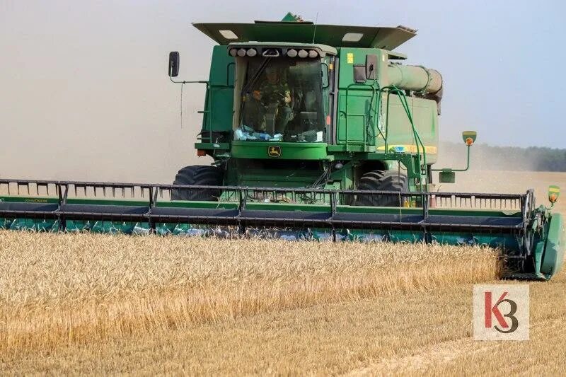 Фермеры продали 1364 т пшеницы. Комбайн Херсон. Кукуруза комбайн Херсон. Уборка зерновых 2022 в Каневской. Уборка урожая комбайн зеленый.