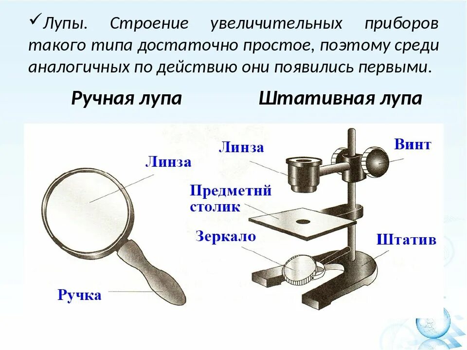 С помощью лупы можно рассмотреть. Биология 5 класс увеличительные приборы строение микроскопа. Штативная лупа 5 класс увеличительные приборы-. Штативная лупа 5 класс биология. Увеличительные приборы 5 класс биология лупа.