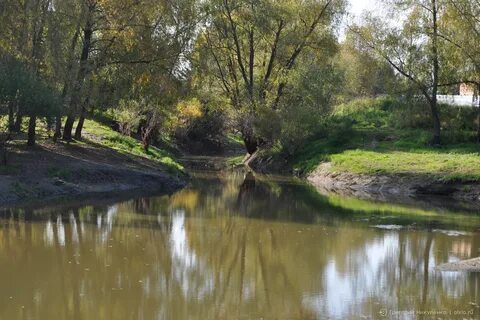 Река камышловка омская область