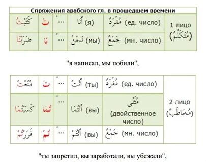Настоящее время арабский язык