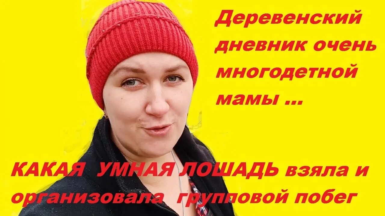 Дневник очень многодетной. Деревенский дневник очень многодетной. Деревенский дневник многодетной мамы. Дневник очень многодетной мамы.