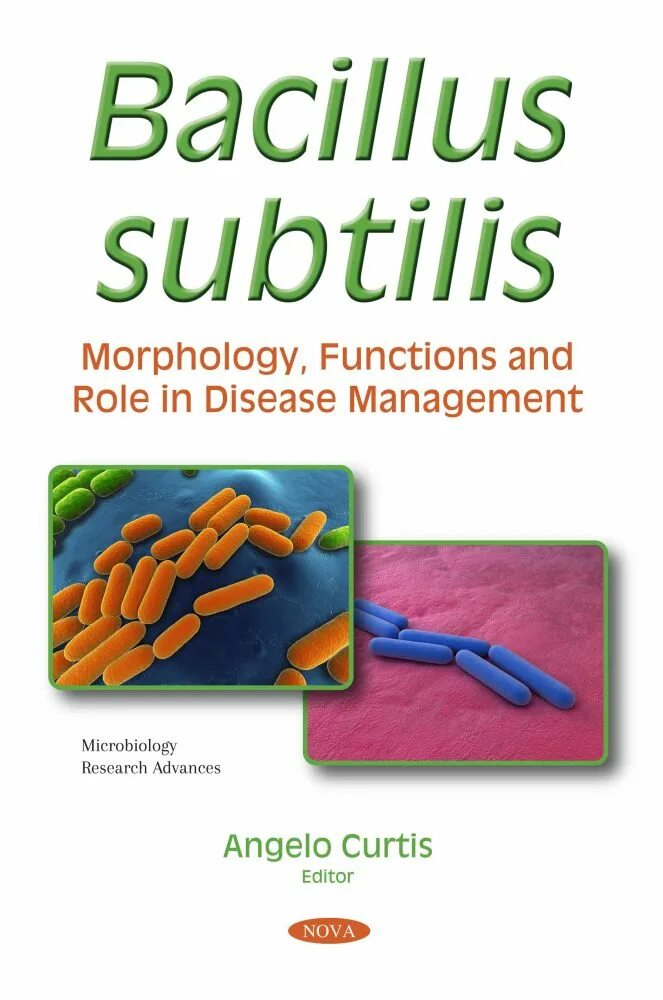 Bacillus subtilis что это. Пробиотики bacillus subtilis. бацилла субтилис препараты. bacillus subtilis для человека. бацилус субтилиус препарат.