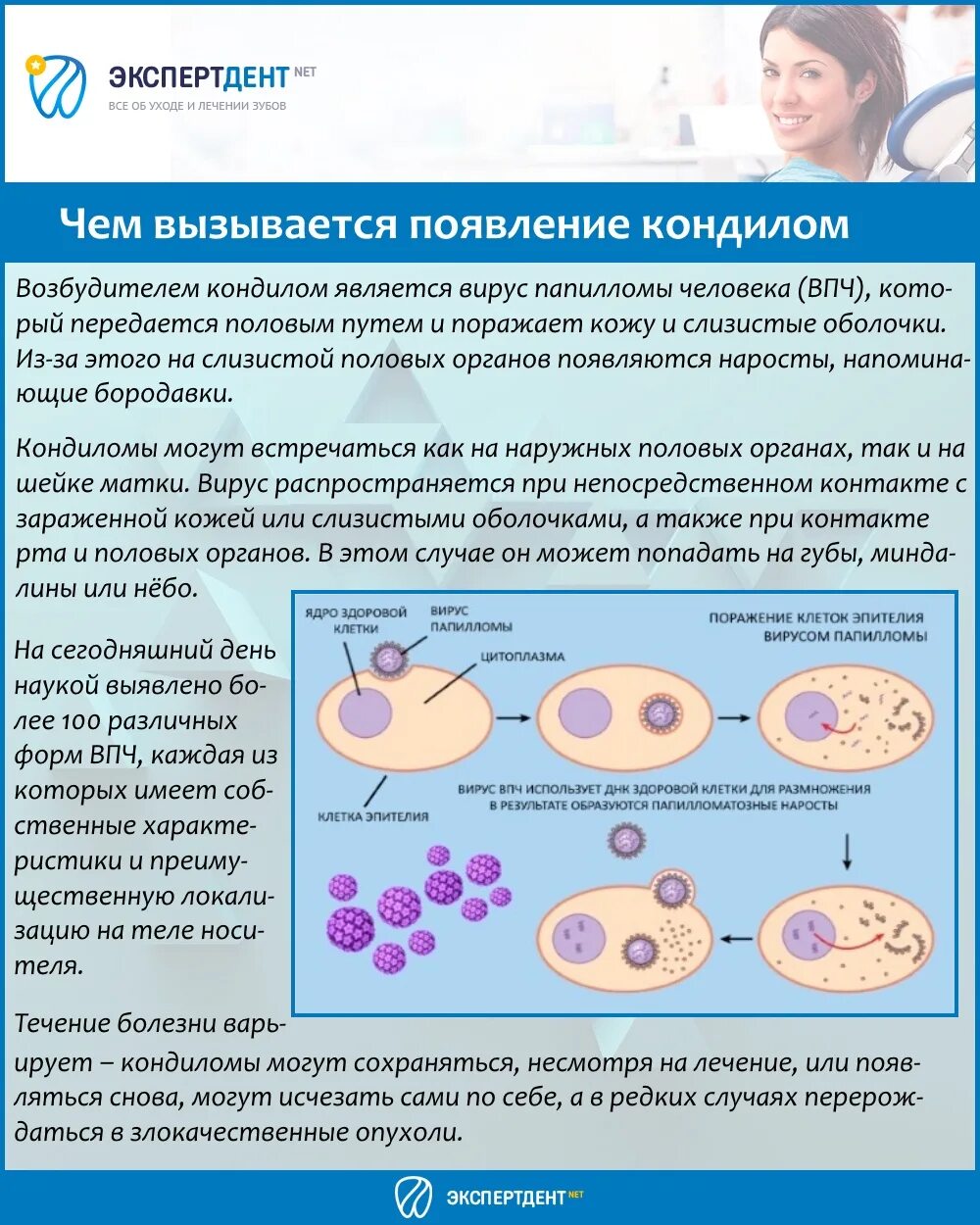 Как вылечить вирус папилломы человека. Как вылечить вирус папилломы человека
