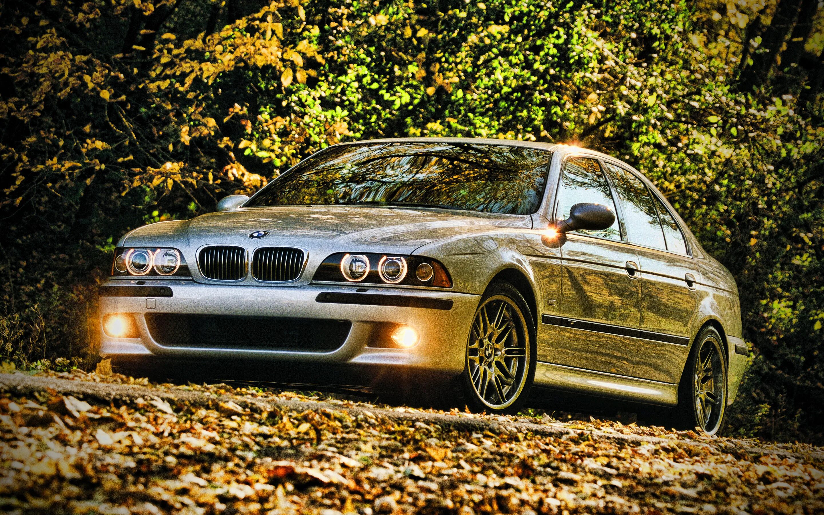 5 49 е. БМВ м5 е39. BMW 5 e39. BMW e39 м5. BMW m5 e39 2000.