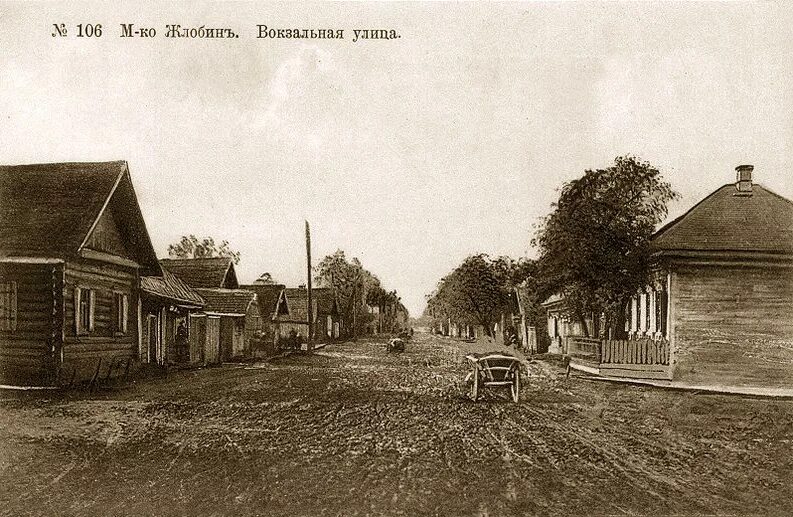 г жлобин гомельская область белоруссия. улицы города жлобина. ул барташова в жлобине. улицы города жлобина. жлобин улица барташова.