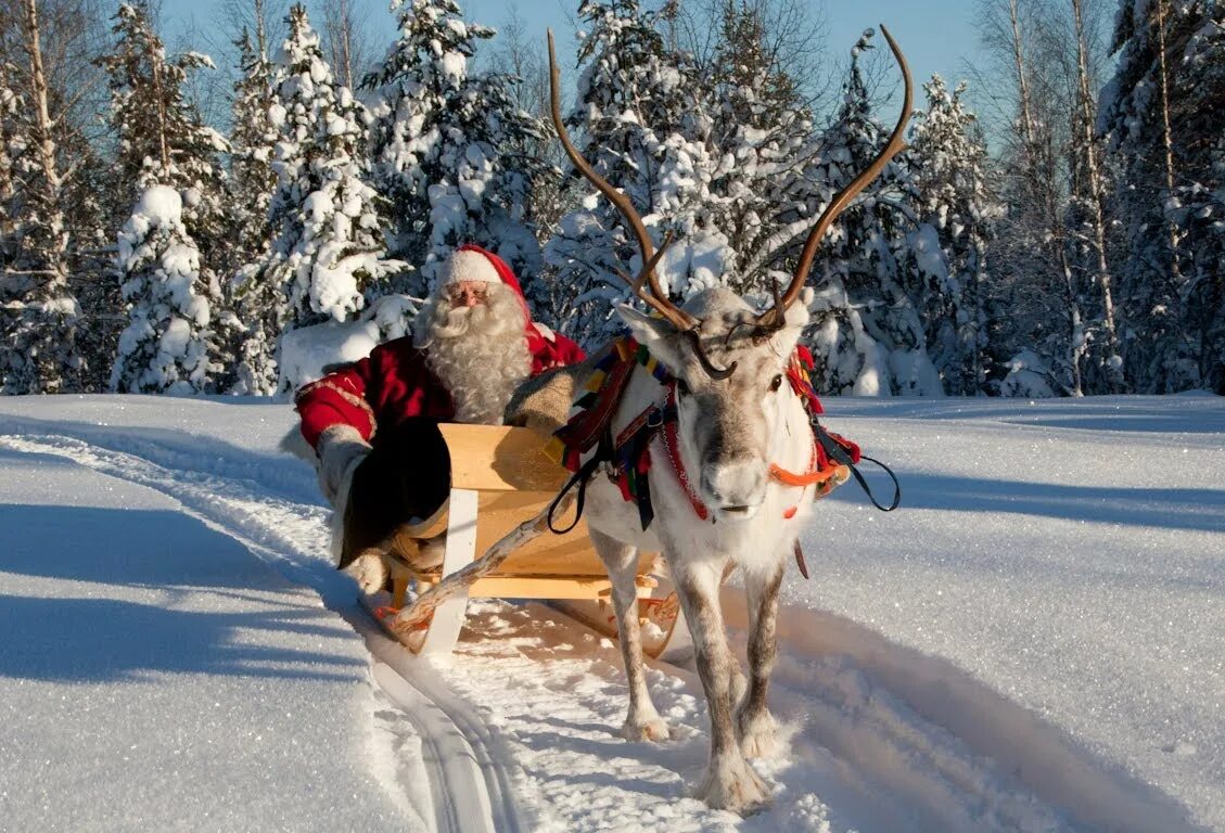 Дед мороз остановка. Йоулупукки с оленями. Финский йоулупукки. Оленья упряжка Санта Клауса. Олени Деда Мороза.