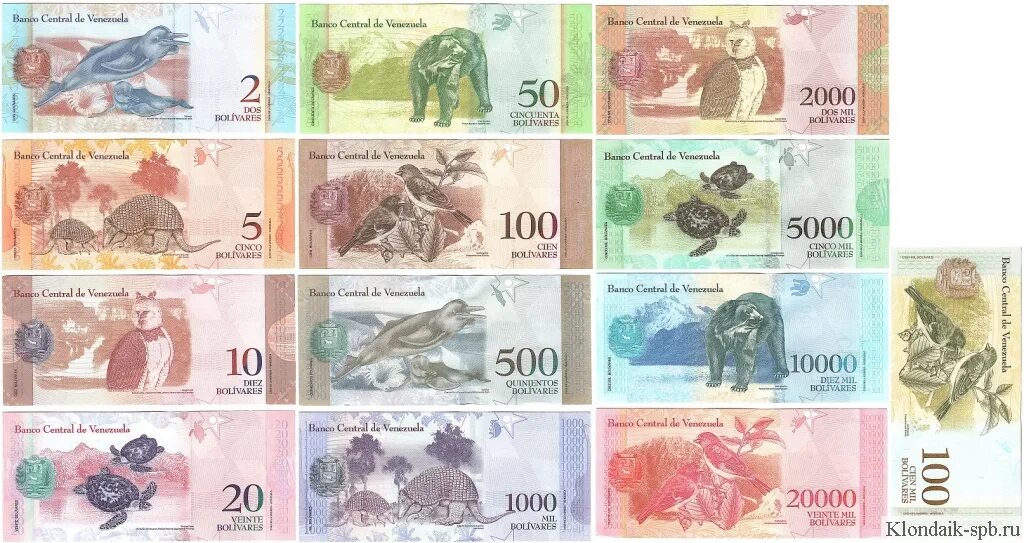 10 до 100 500 1000. 500, 1000 и 5000, 2000 г беларусь. 1000 2000 5000 500 100 50 купить на озон.