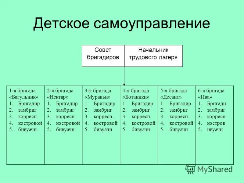 Должностные обязанности бригадира на производстве. Озон сотрудники. Должностная инструкция бригадира тракторной бригады. Программа бригадир. Инструктаж по технике безопасности слесаря сантехника.