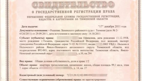 Как прописаться в доле. Квартира в общей долевой собственности 1/3 доли. Согласие на праве общей долевой собственности в праве, квартиры. Долевая собственность на квартиру документ. 1/2 Доли в праве собственности на квартиру.